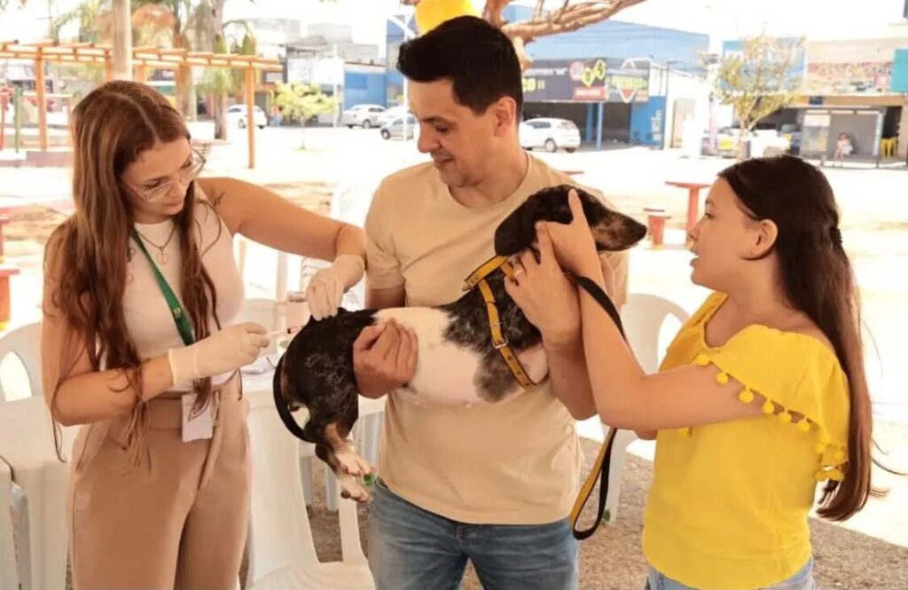 Aparecida terá Dia D de vacinação antirrábica em cerca de 60 pontos