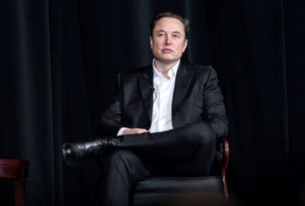 Musk reage com “wow” à subida de Flávio na Polymarket