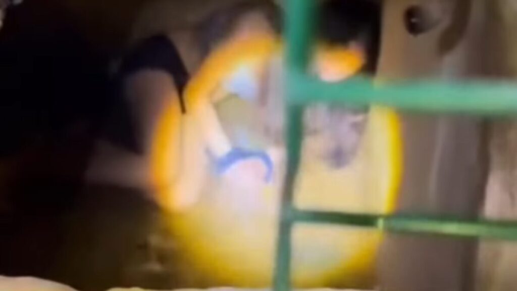 Vídeo: Adolescente relata ter bebido água misturada à própria urina após ser encontrada amarrada em poço