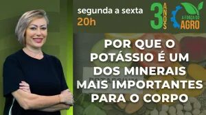 A Força do Agro #849: assista ao programa de 16/10/2026