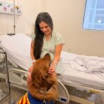 Cães terapeutas levam alegria a pacientes, acompanhantes e colaboradores do HMMCC
