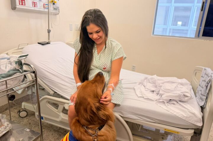 Cães terapeutas levam alegria a pacientes, acompanhantes e colaboradores do HMMCC