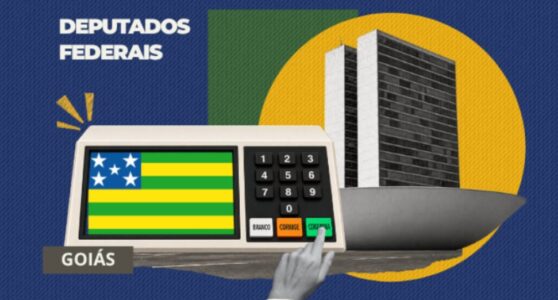 Câmara federal tem 17 eleitos por Goiás e revela nova configuração da bancada no Congresso