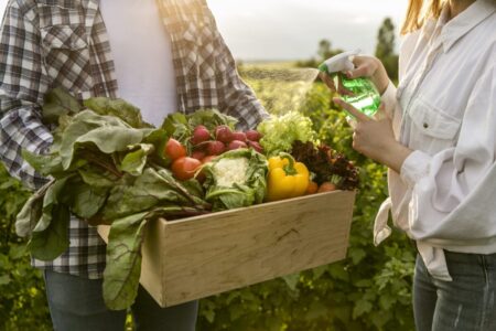 Do campo à cidade: por que o armazenamento de alimentos é essencial para o abastecimento
