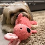 Michelle edita foto que aparecia perna e tornozeleira de Jair Bolsonaro